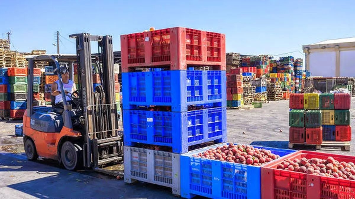 Iran's Agricultural Exports Collapse 60% as Sanctions Fracture Trade Networks